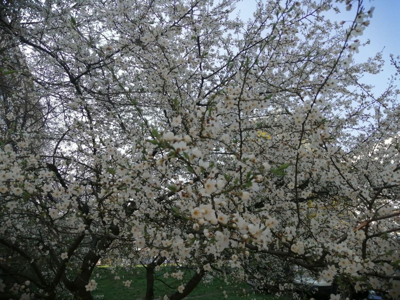 В воскресенье в Украину придет резкое потепление: прогноз погоды на выходные 12-13 апреля