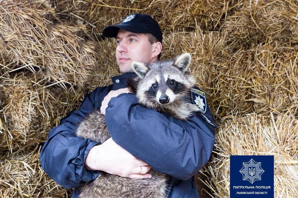 Во Львове патрульные устроили фотосессию со спасенными животными (фото)