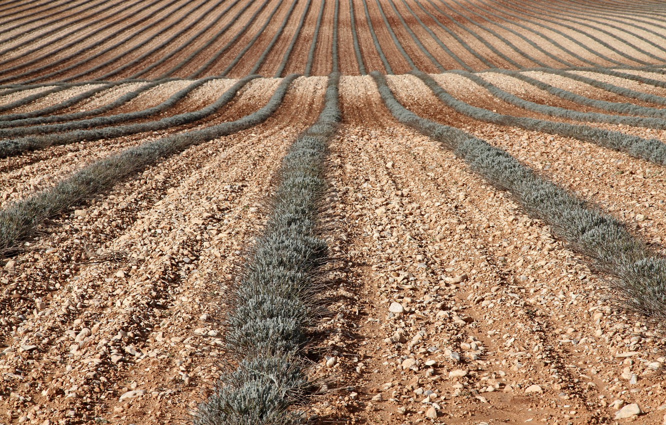 Зеленський підписав закон про торгівлю землею на інтернет-аукціонах