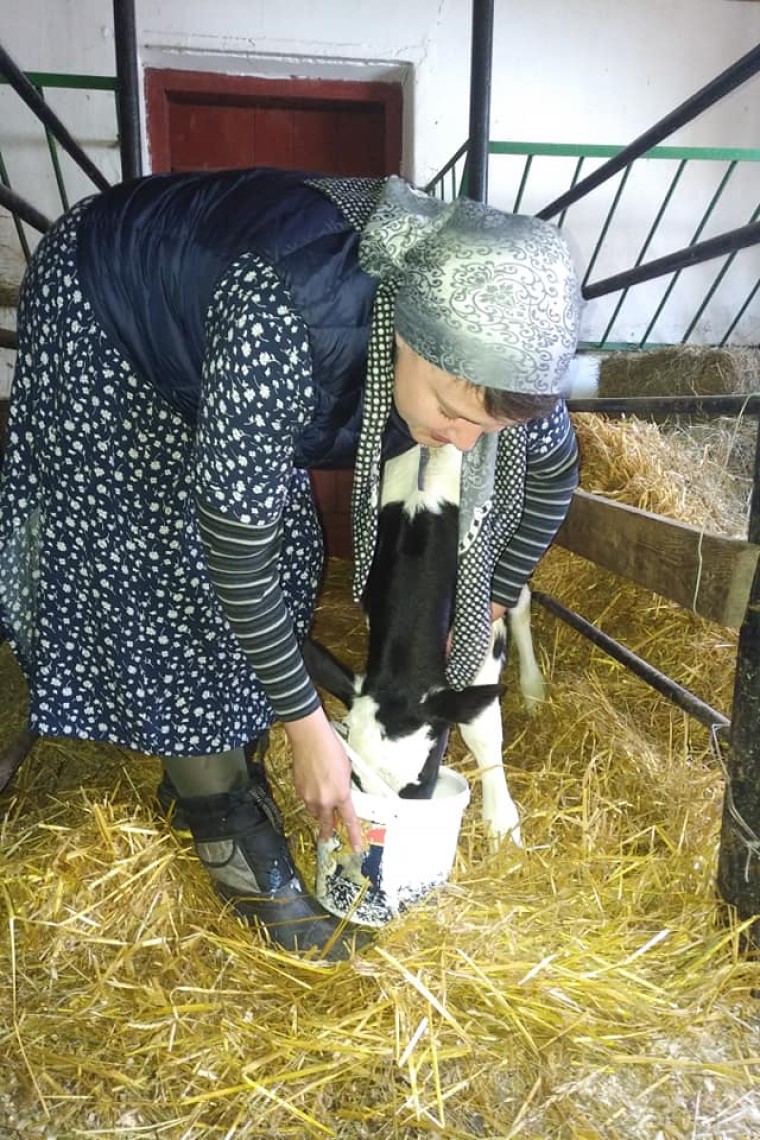 Надія Савченко показала, як вона доїть корову і мете вулиці (фото)