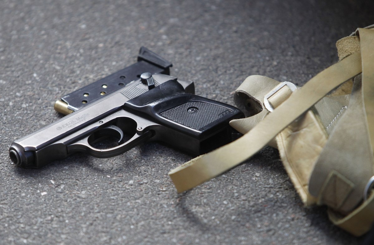 Українці можуть протестувати роботу реєстру зброї