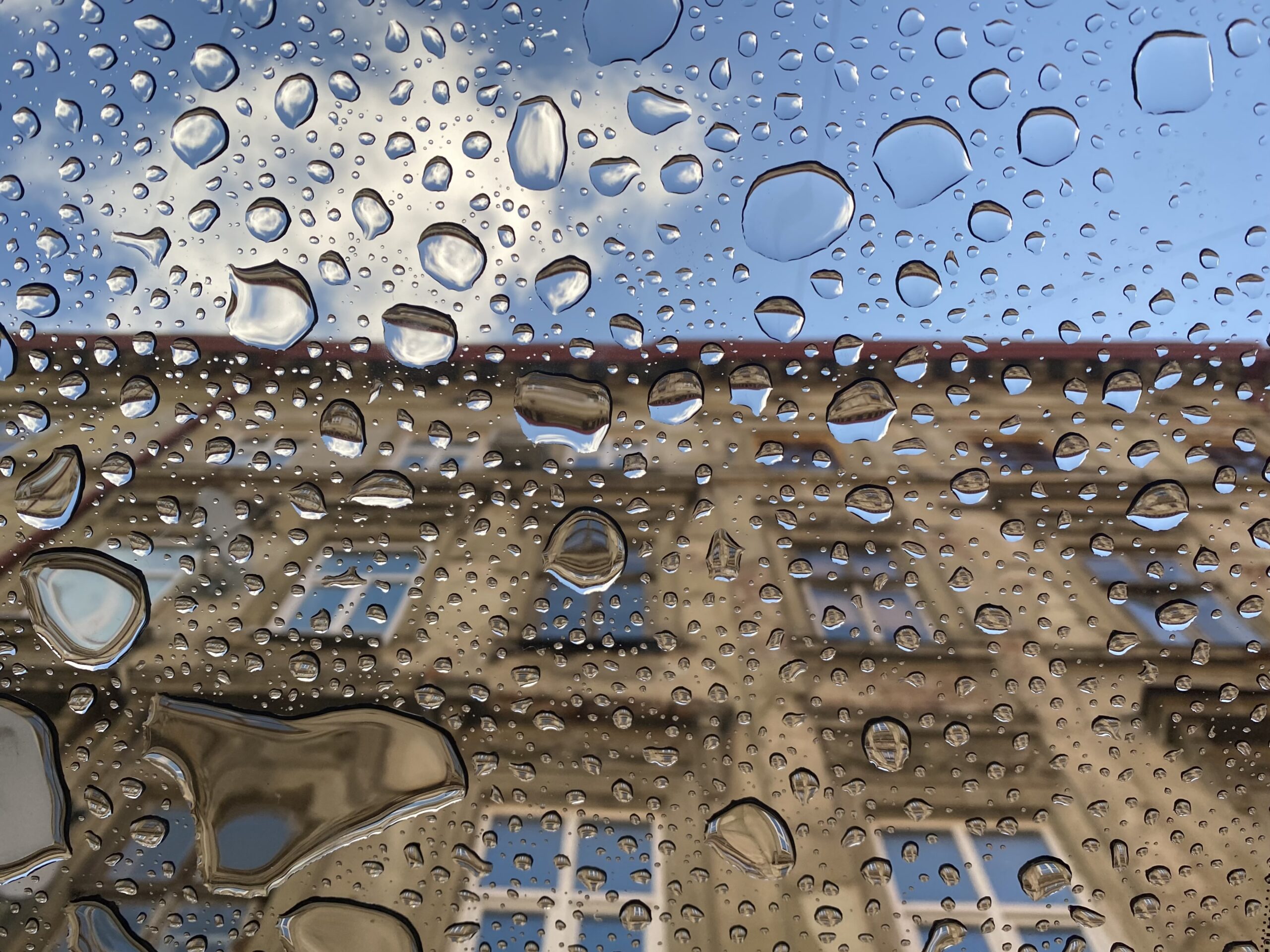 Мінлива погода з вітром і дощем триматиметься в Україні увесь тиждень - синоптик