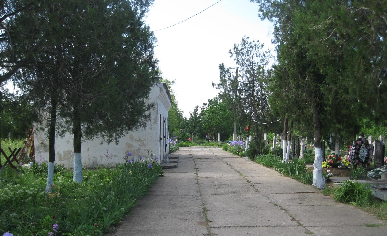 В Одеській області п'яні чоловіки обстріляли подружжя пенсіонерів