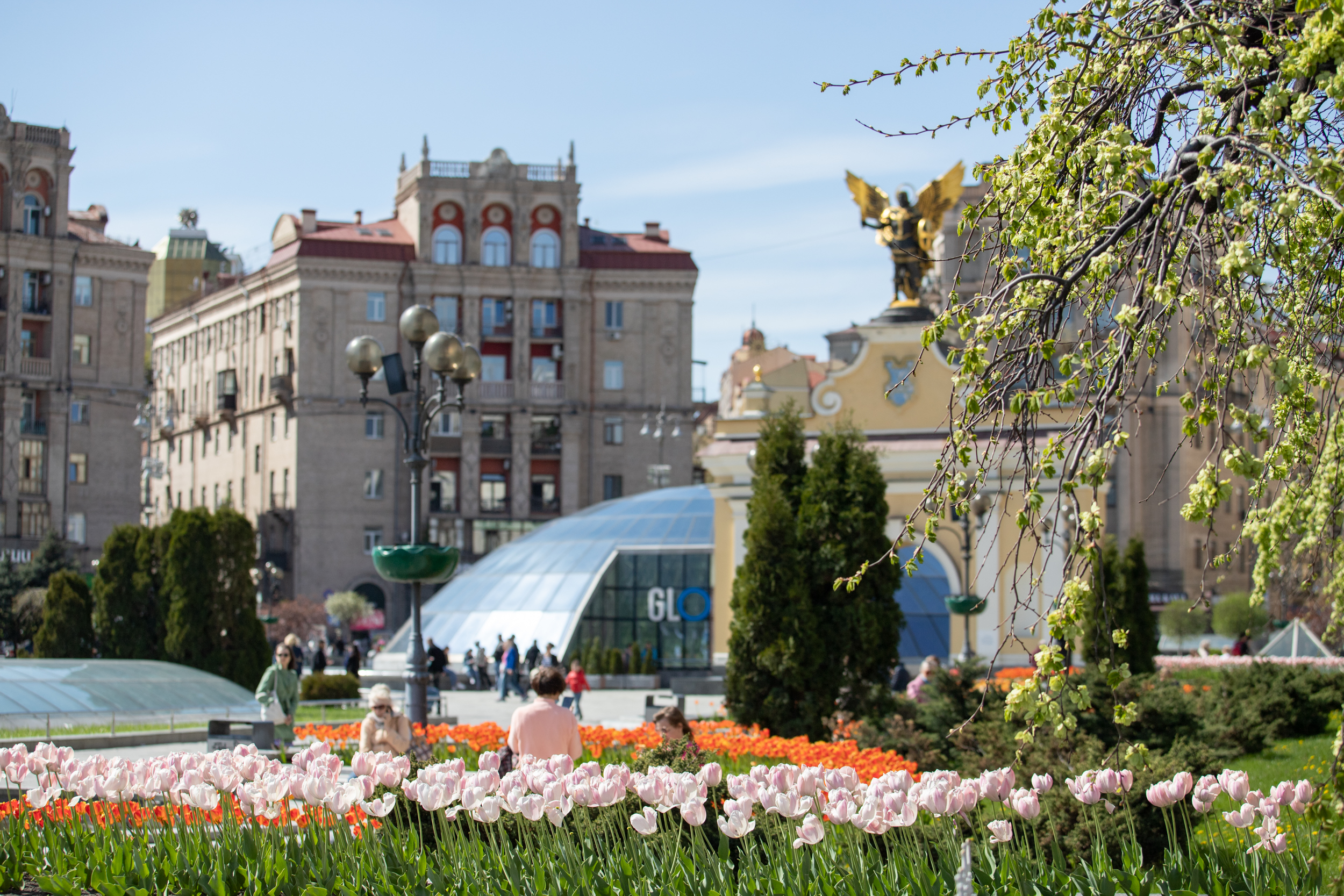 У центрі Києва розквітли сто тисяч голландських тюльпанів (фото, відео)