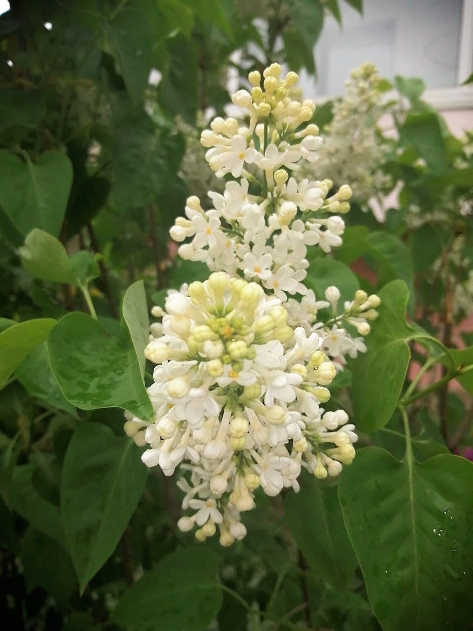 На выходных в Украине будет тепло и облачно, иногда дождливо