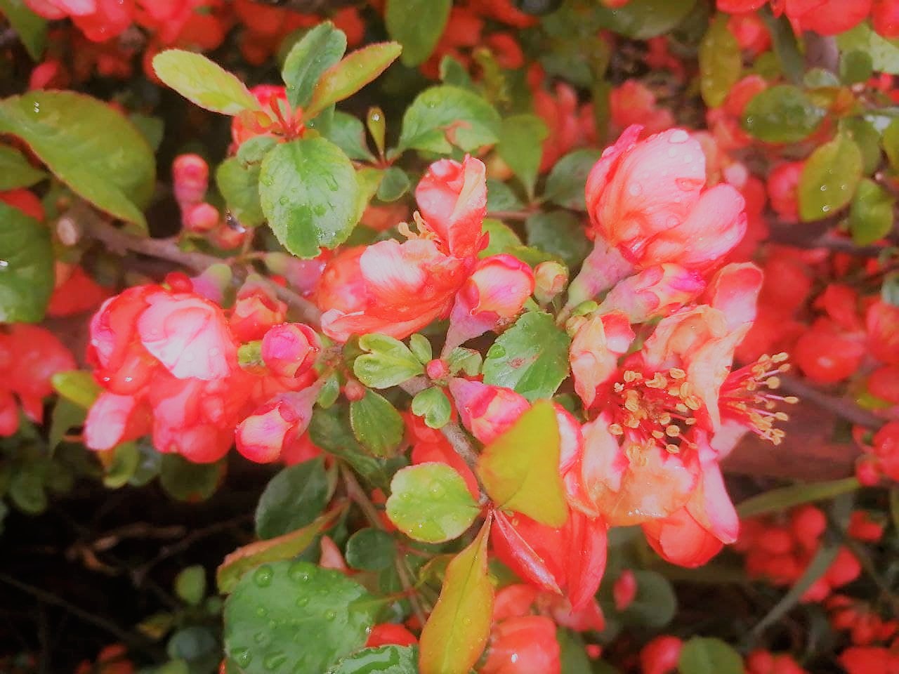 В Украине на выходных будет переменчивая погода