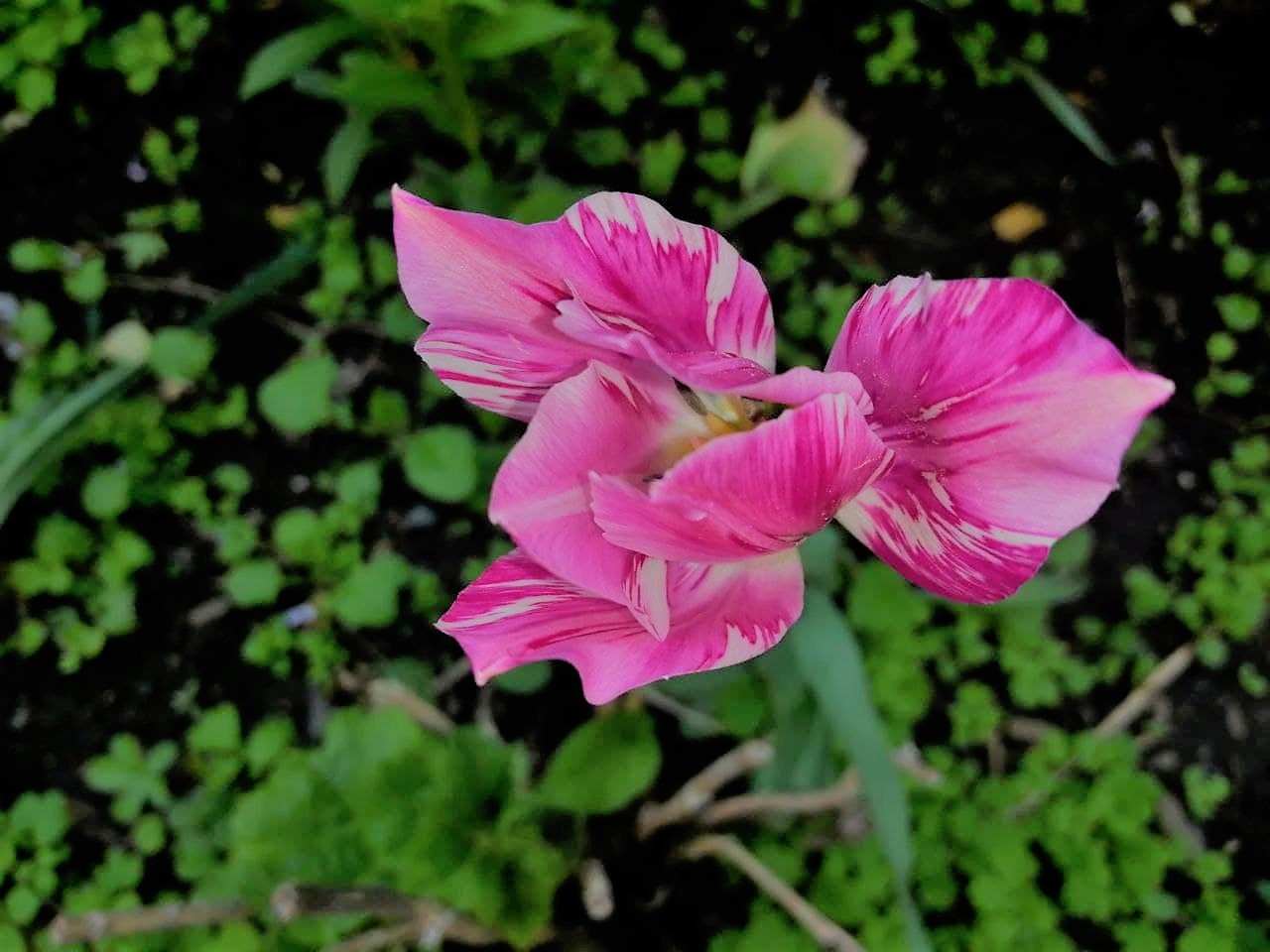 29 липня - День Сил спецоперацій ЗСУ: що відомо про цей день та основні заборони