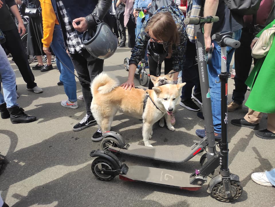 Протест проти "сафарі" на творчу молодь