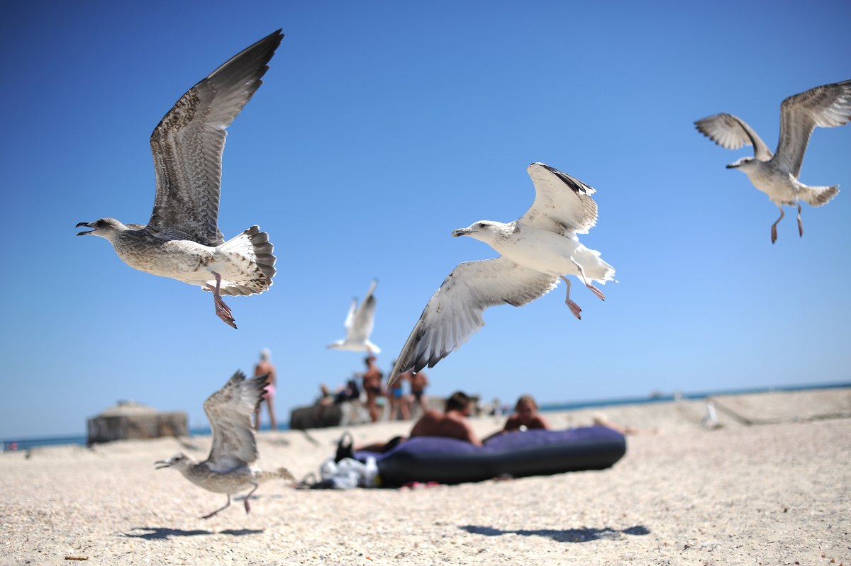 Курорты Одесской области: где отдохнуть и какие цены