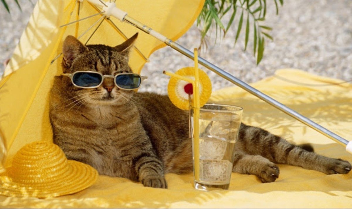 Укргідрометцентр оприлюднив прогноз погоди на липень 2024 року