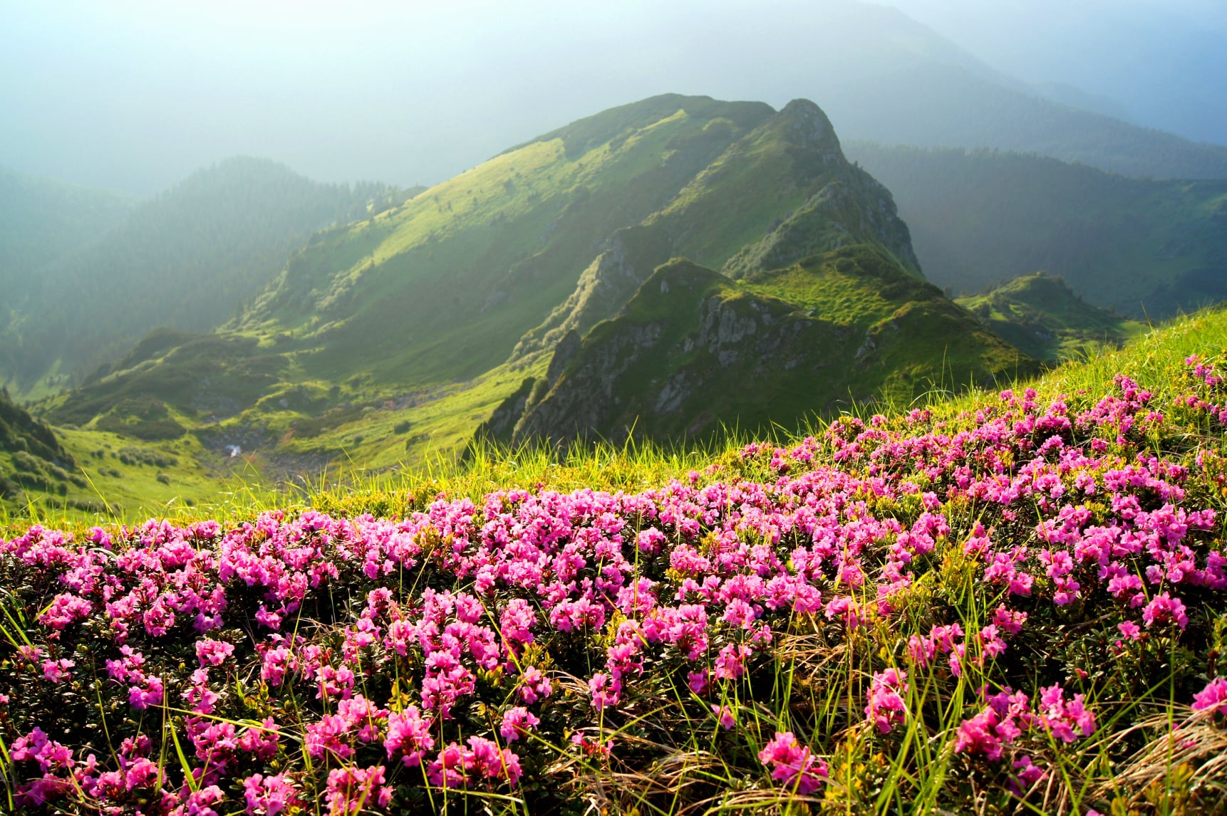 Коломойский хочет построить в Карпатах еще два горнолыжных курорта
