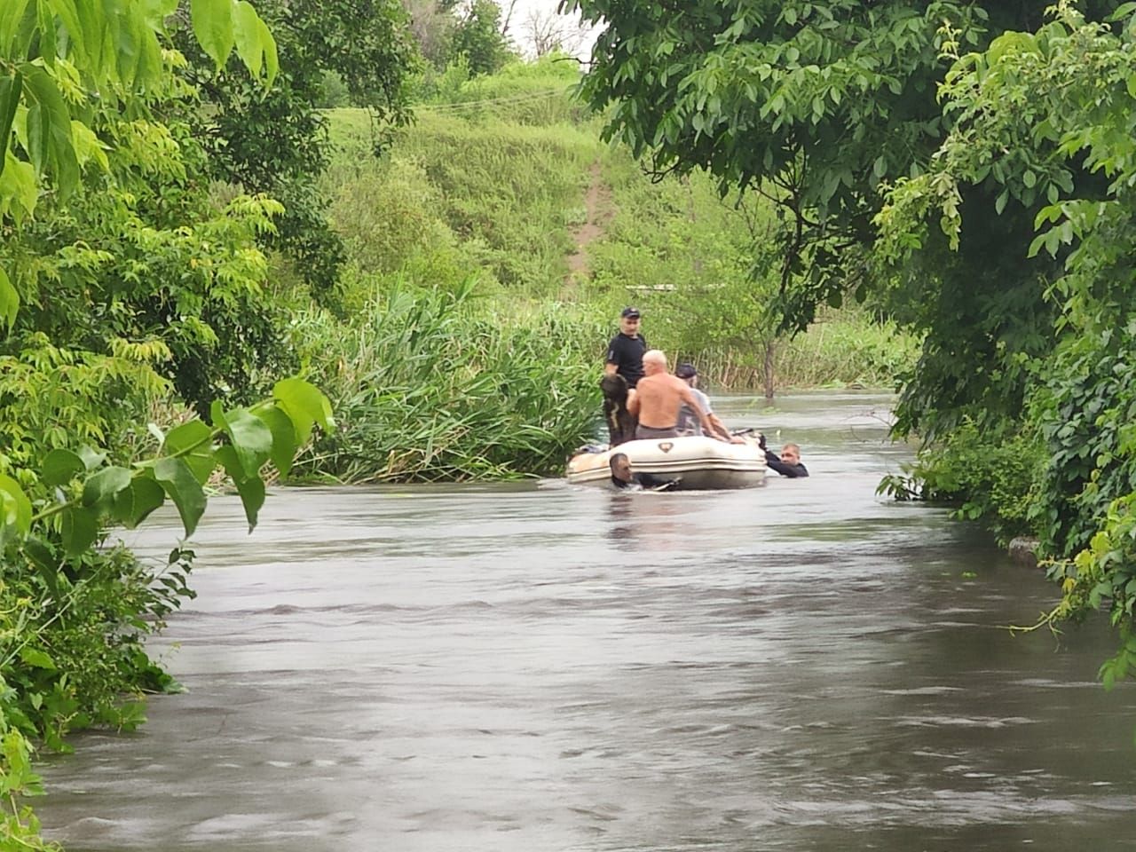 120 населених пунктів в Україні залишилися без електрики через негоду