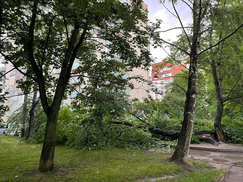 Негода знеструмила майже 200 населених пунктів по всій Україні (відео)