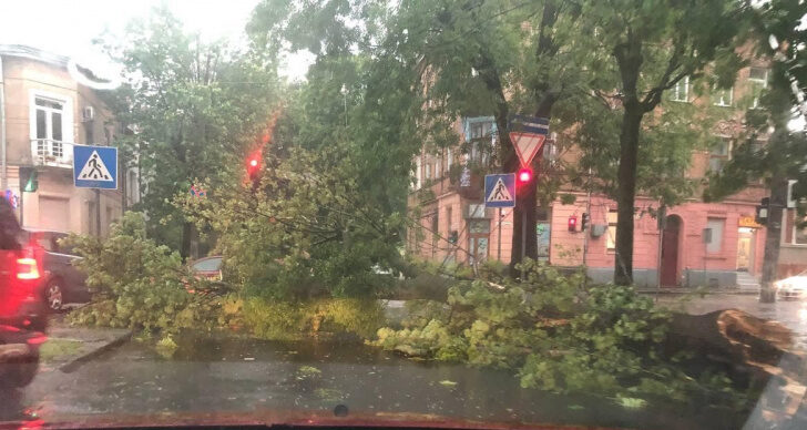 Львовом пройшлась потужна буря: попадали дерева і не працює транспорт - фото