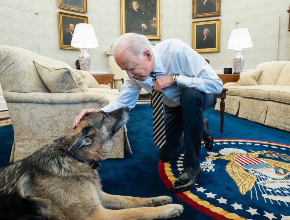 Умер пес американского президента по кличке Чэмп