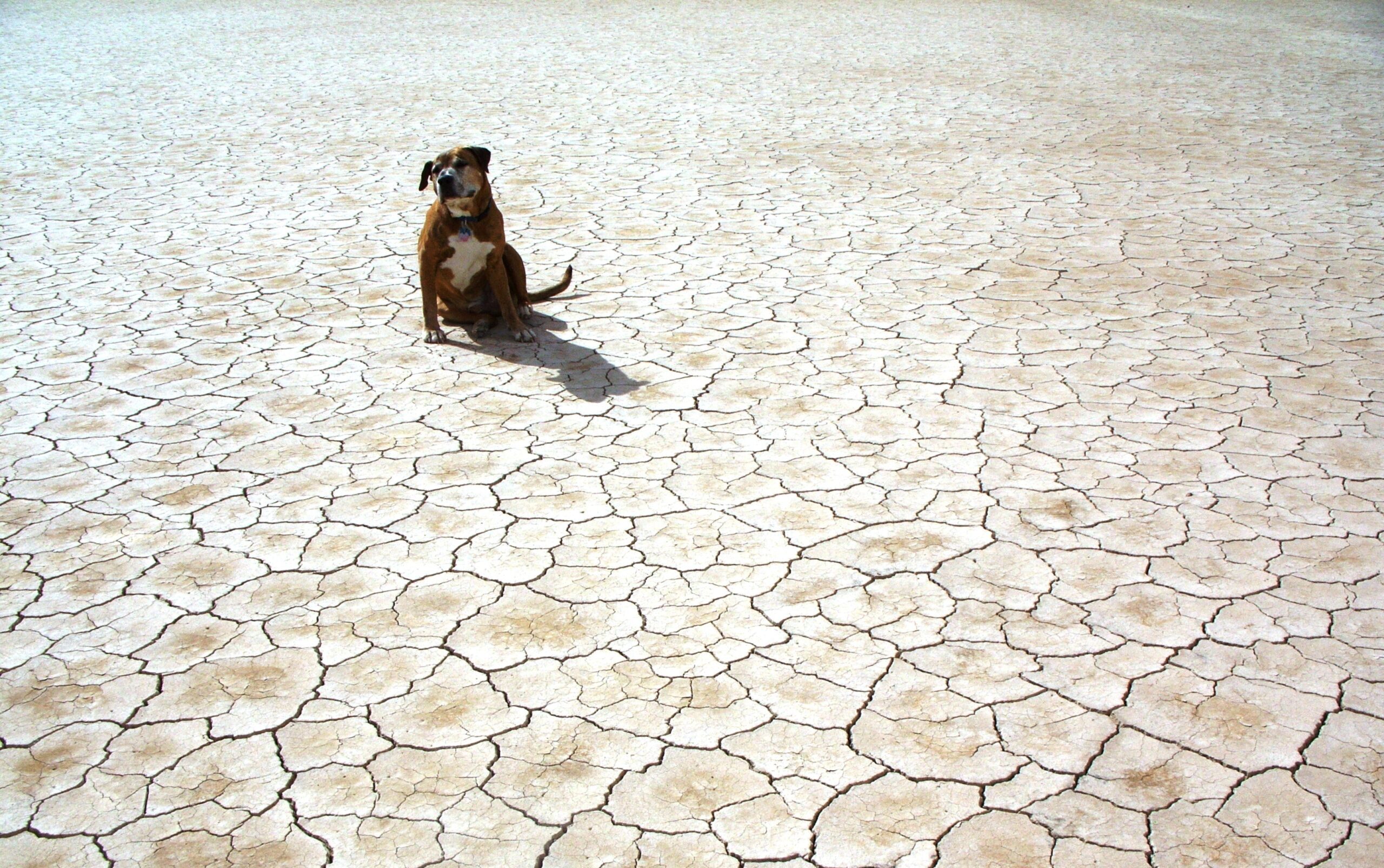 Сильная жара и засуха увеличили смертность людей на 167% и украли у них часть времени на сон
