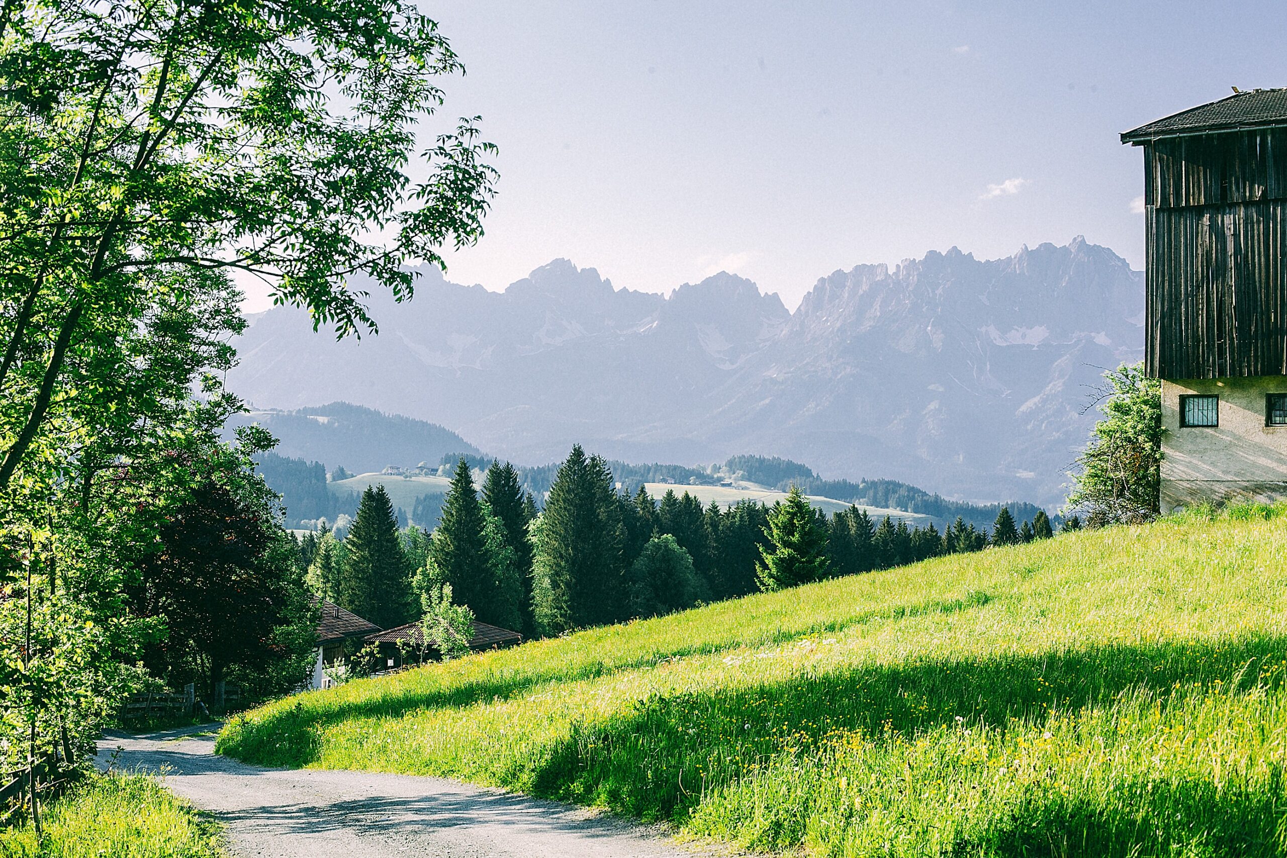 В Україні уклали понад 15 тисяч земельних угод