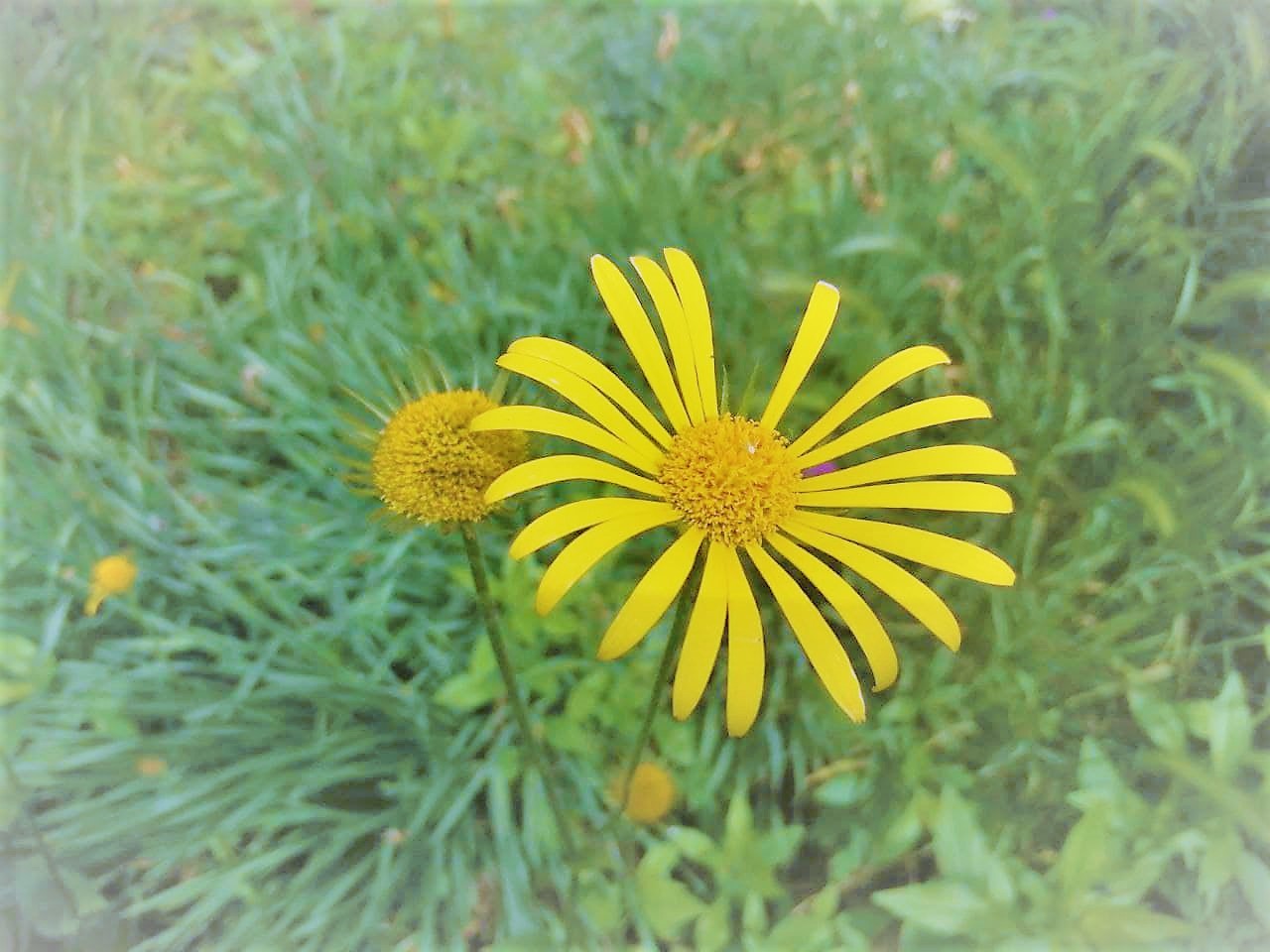 Спеку в Україні розбавлять дощі та грози: погода на 13 липня