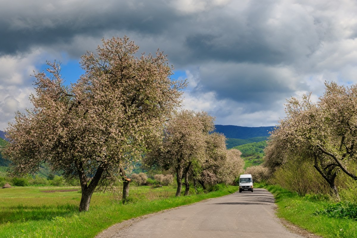 Штормове попередження: синоптики оголосили про негоду
