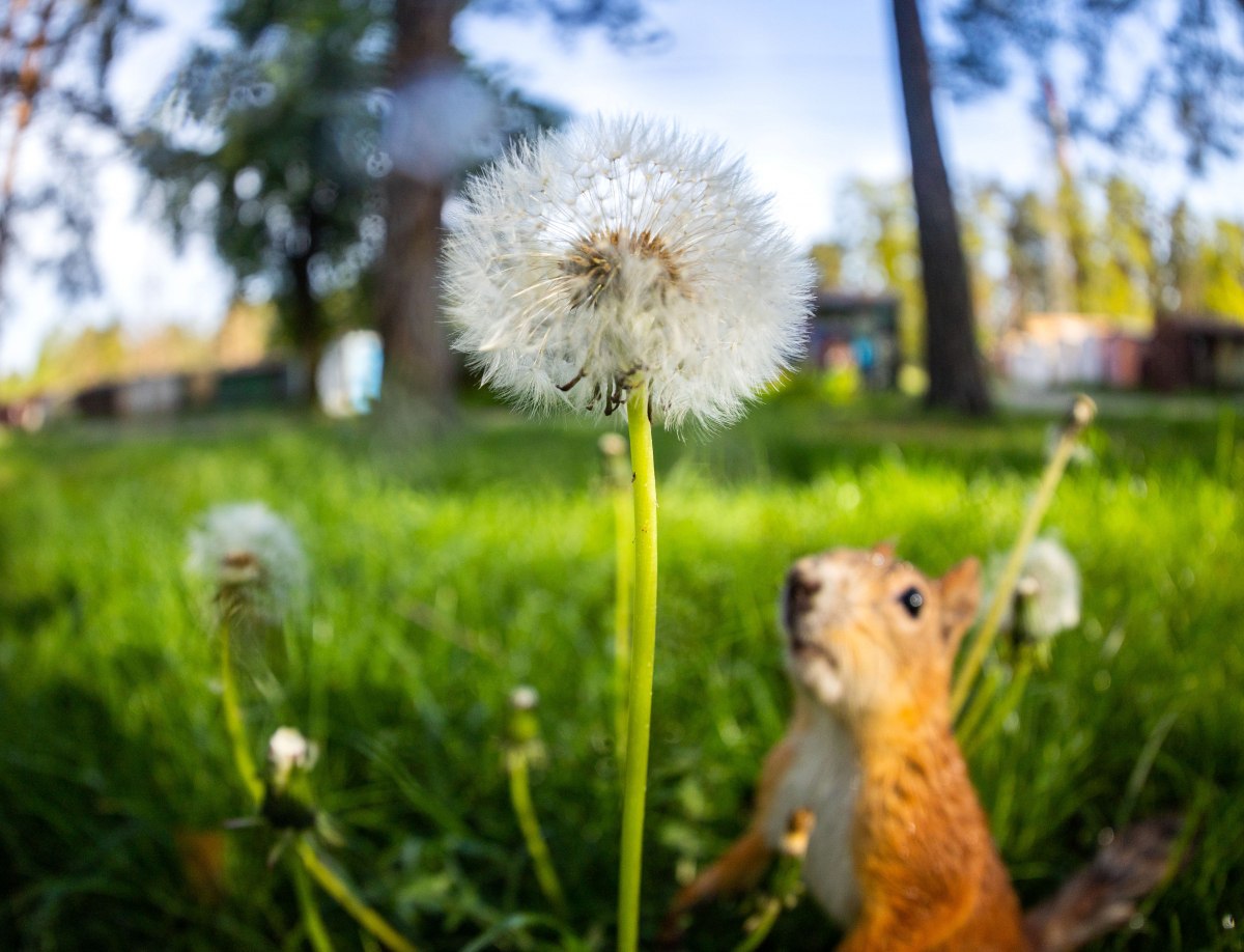 Погода в Україні на 2022 рік: чи очікують нас погодні катаклізми