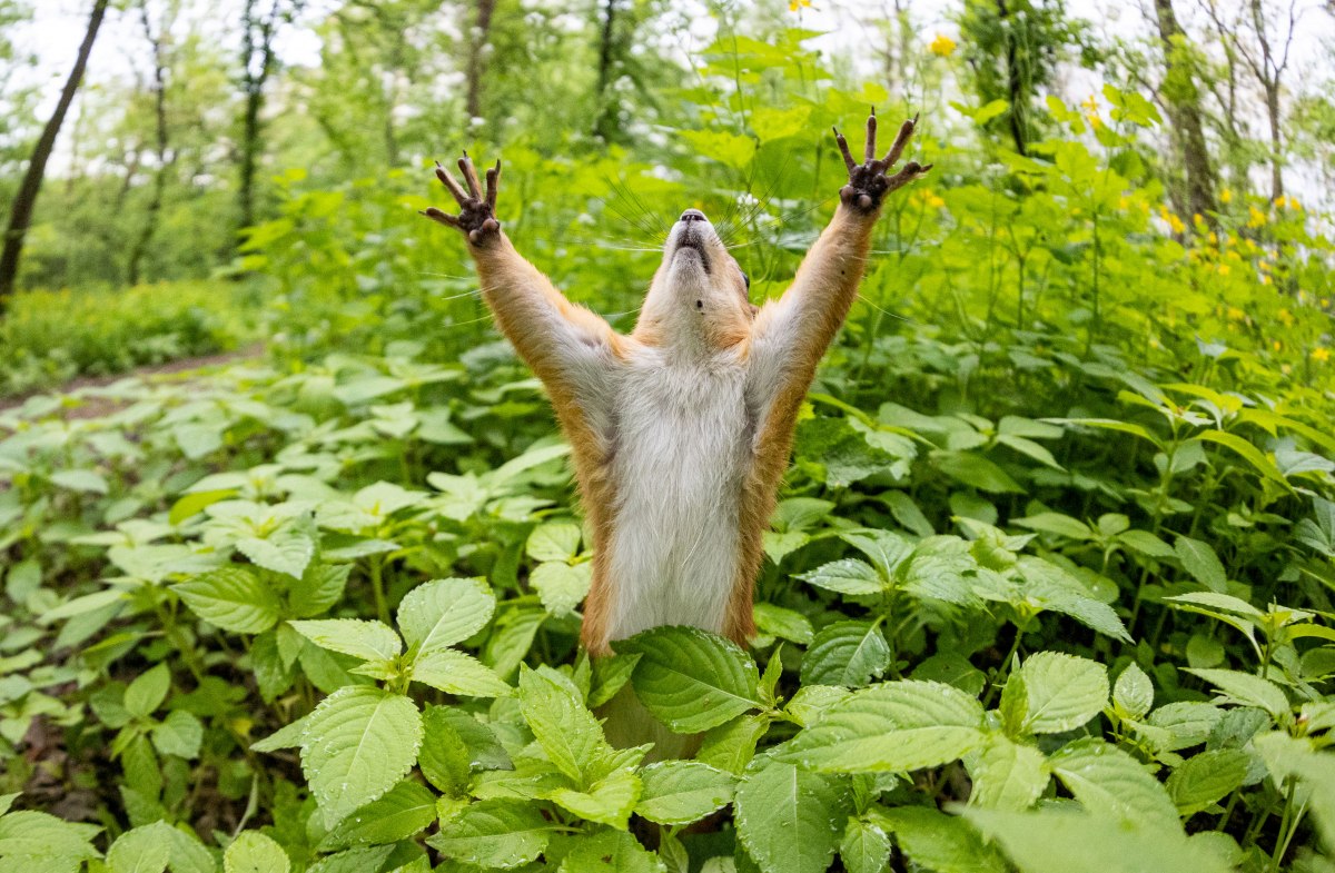 С четверга начнется потепление: прогноз погоды на следующие трое суток