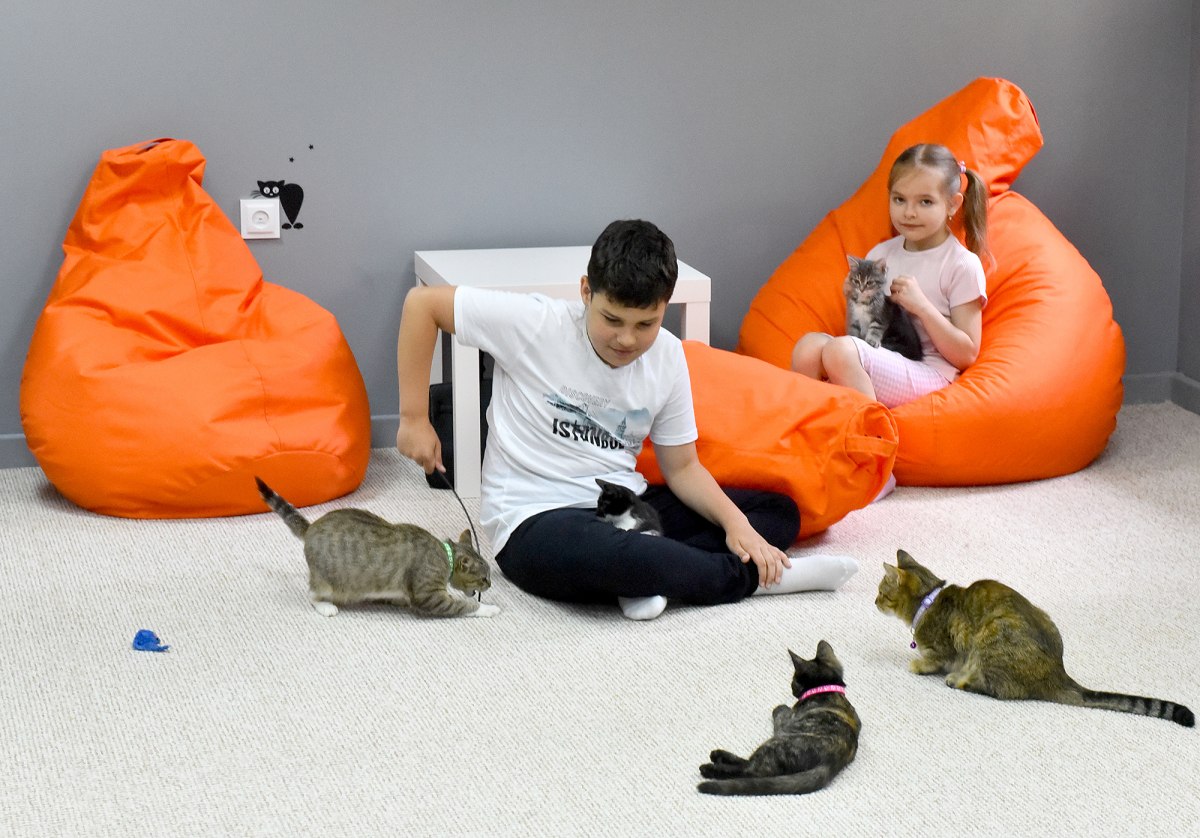 Майже 90 дитячих садочків відновили роботу у Київській області