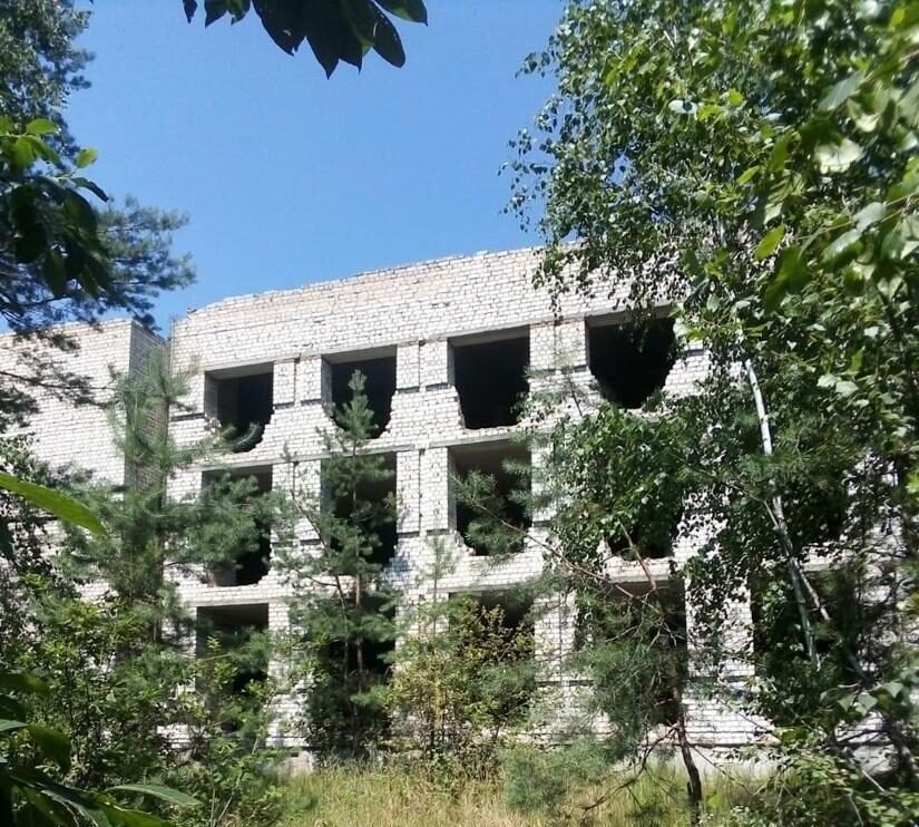 Вбила та поховала під цеглою: 15-річна дівчина на Житомирщині зарізала товариша