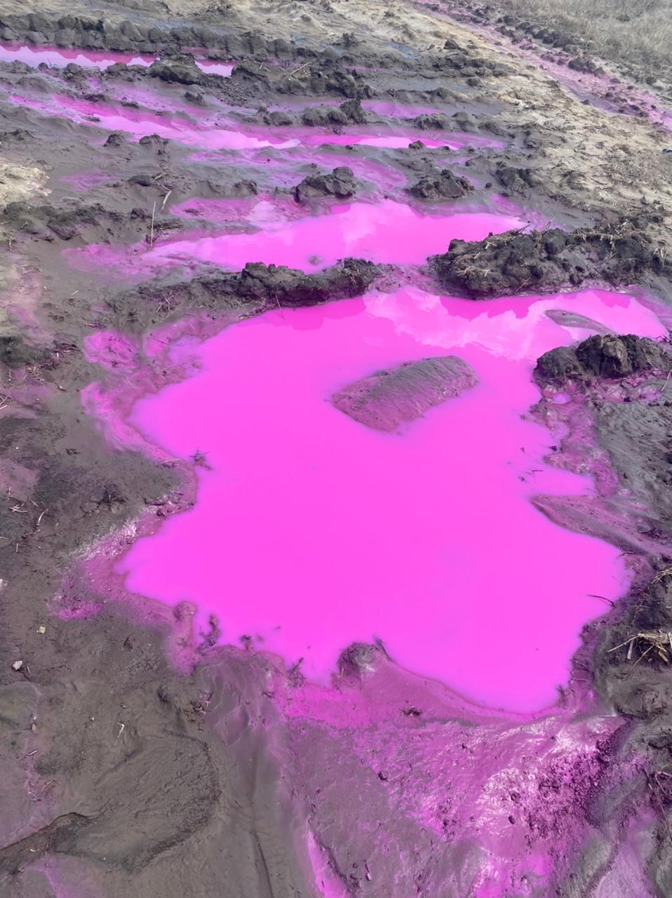 Після аварії на хімзаводі поблизу Рівного пройшли "малинові дощі" - фото