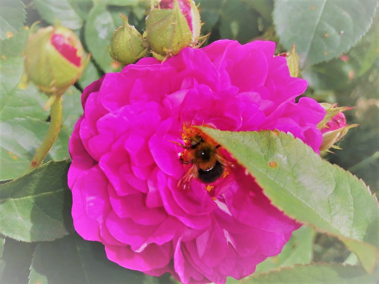 В Украине начинается потепление: прогноз синоптиков на 14 июня