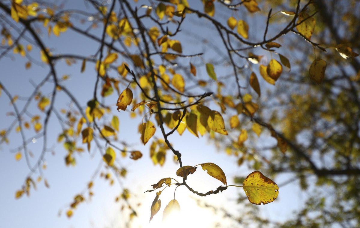 Малохмарно та з дощем: синоптики розповіли про погоду 17 жовтня