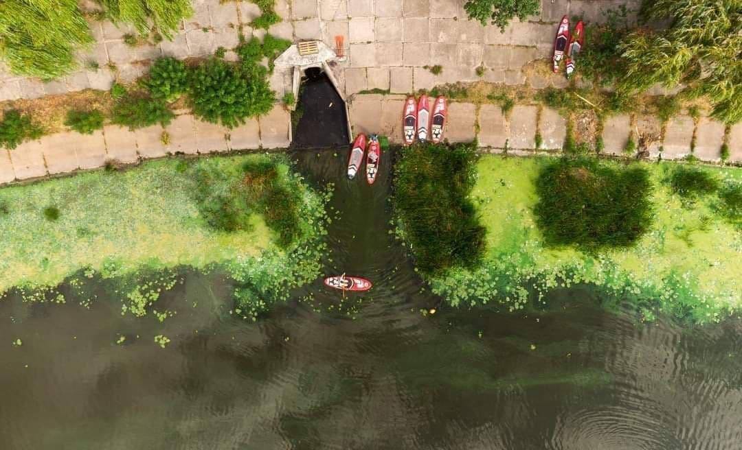 Зелено-голубая вода и страшная вонь: возле ТРЦ в Киеве "протух" Днепр