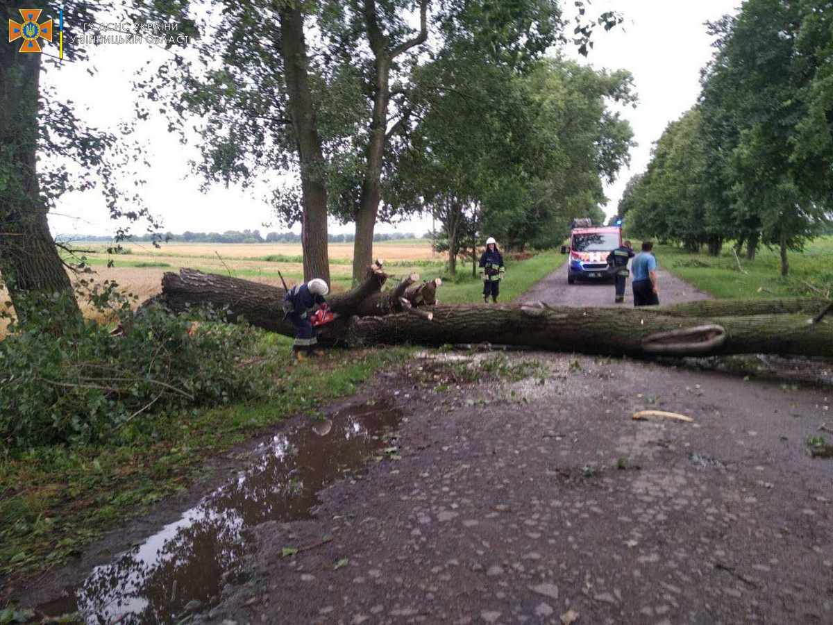 Затоплені вулиці та повалені дерева: у Вінниці та області пройшла сильна злива (відео)