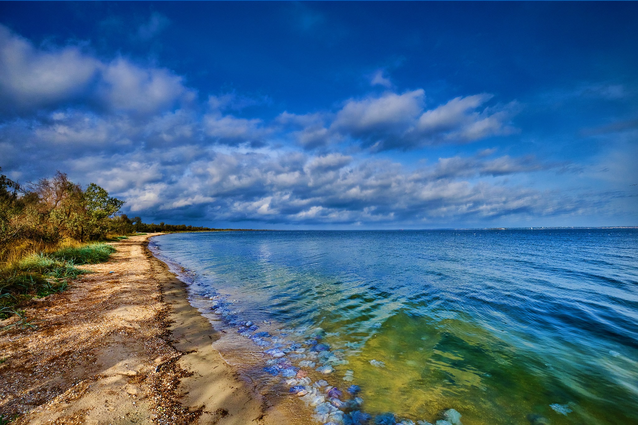 Що робити, якщо тоне людина: пояснення МОЗ