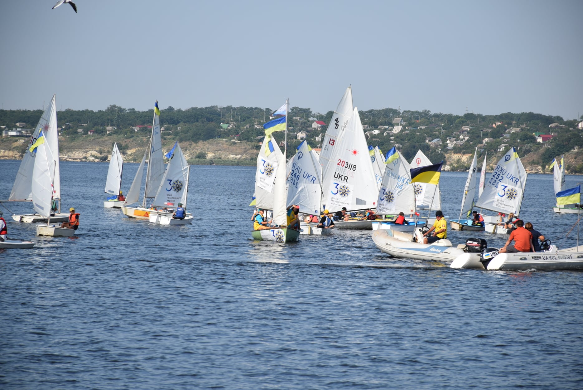 В Миколаєві провели змагання  до Дня незалежності України - фото