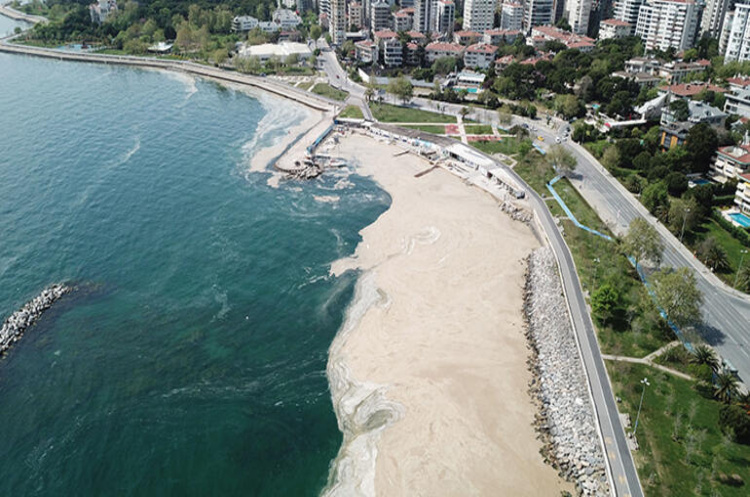 Мраморное море находится на грани экологической угрозы - биологи