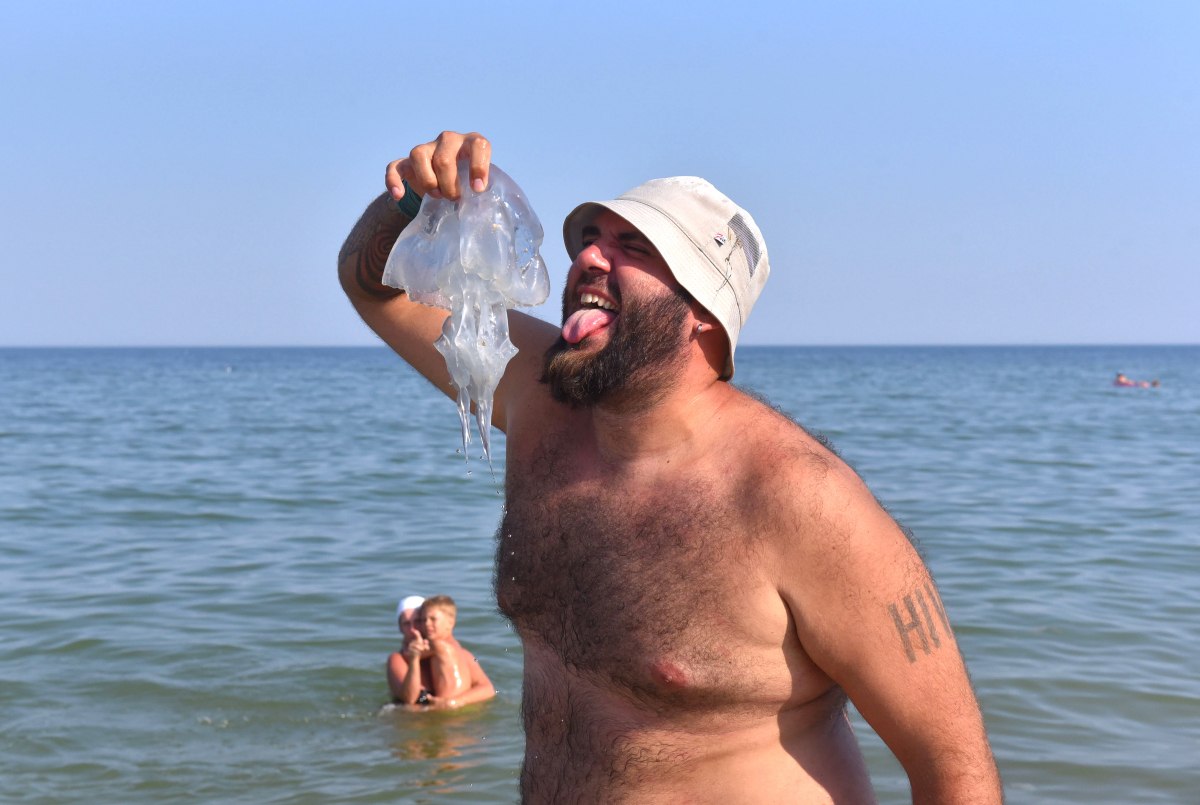 У Кирилівці розповіли, як боротимуться з медузами наступного курортного сезону