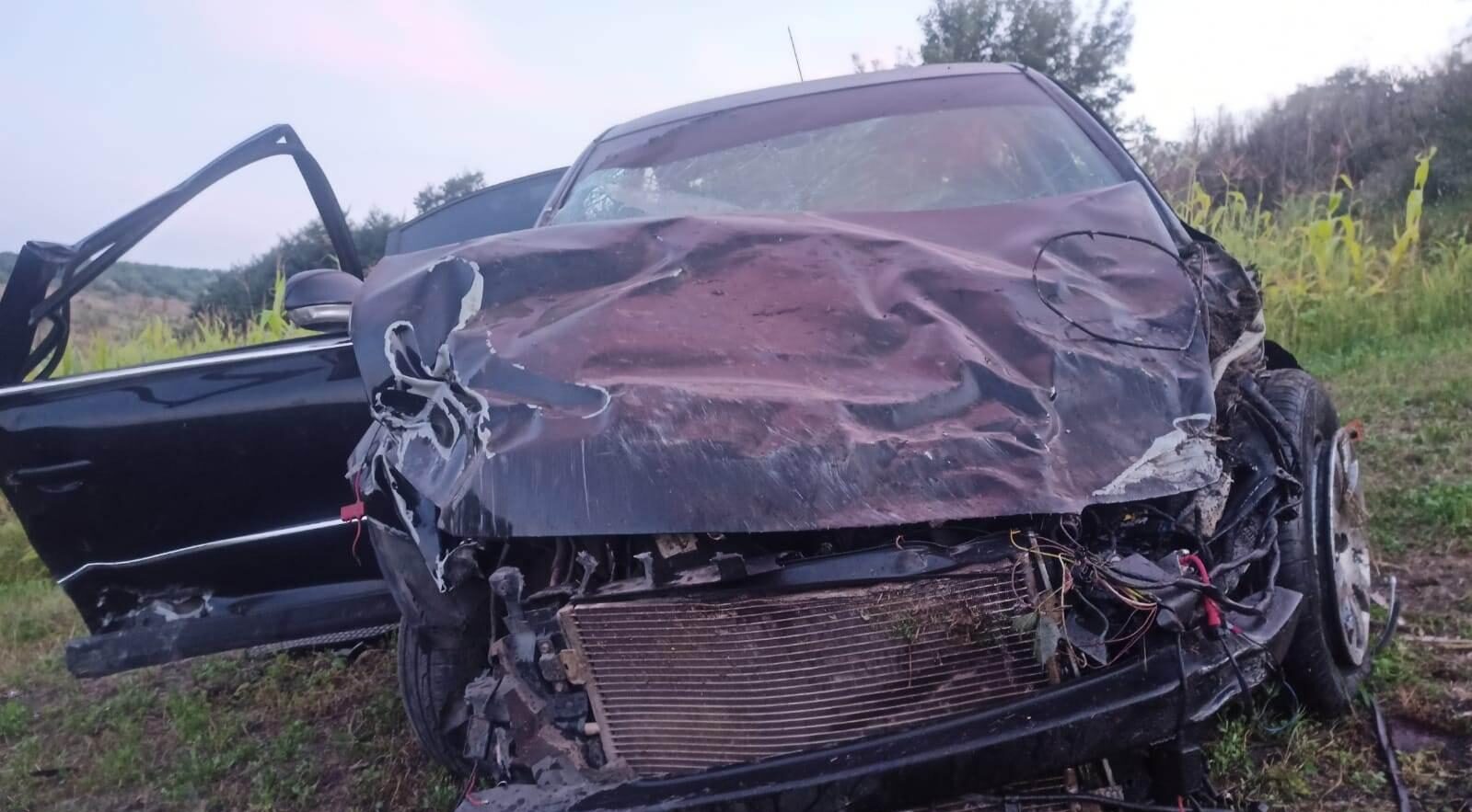 В Одеській області в полі знайшли розбите авто з непритомними людьми - фото