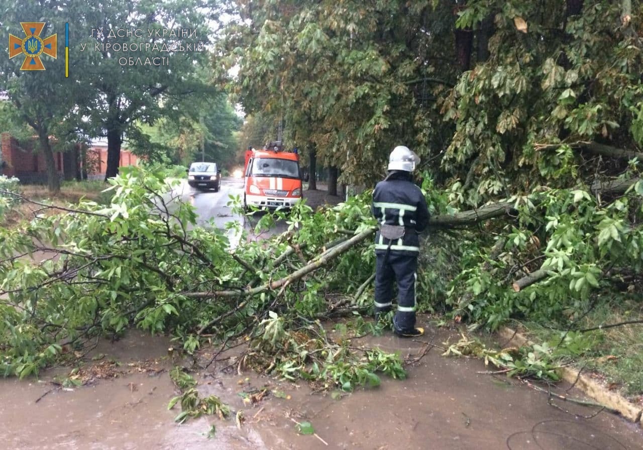 Дерева впали на будинки, автівки і дороги, а села знеструмлено: на Кіровоградщині пройшла злива (відео)