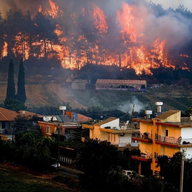 Не обошлось без России: кого подозревают в поджоге лесов в Турции