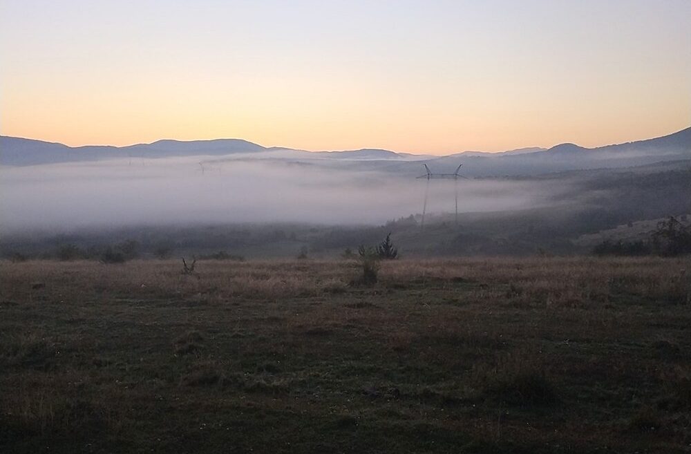 Чотирьох зниклих на Закарпатті дітей знайшли у лісі