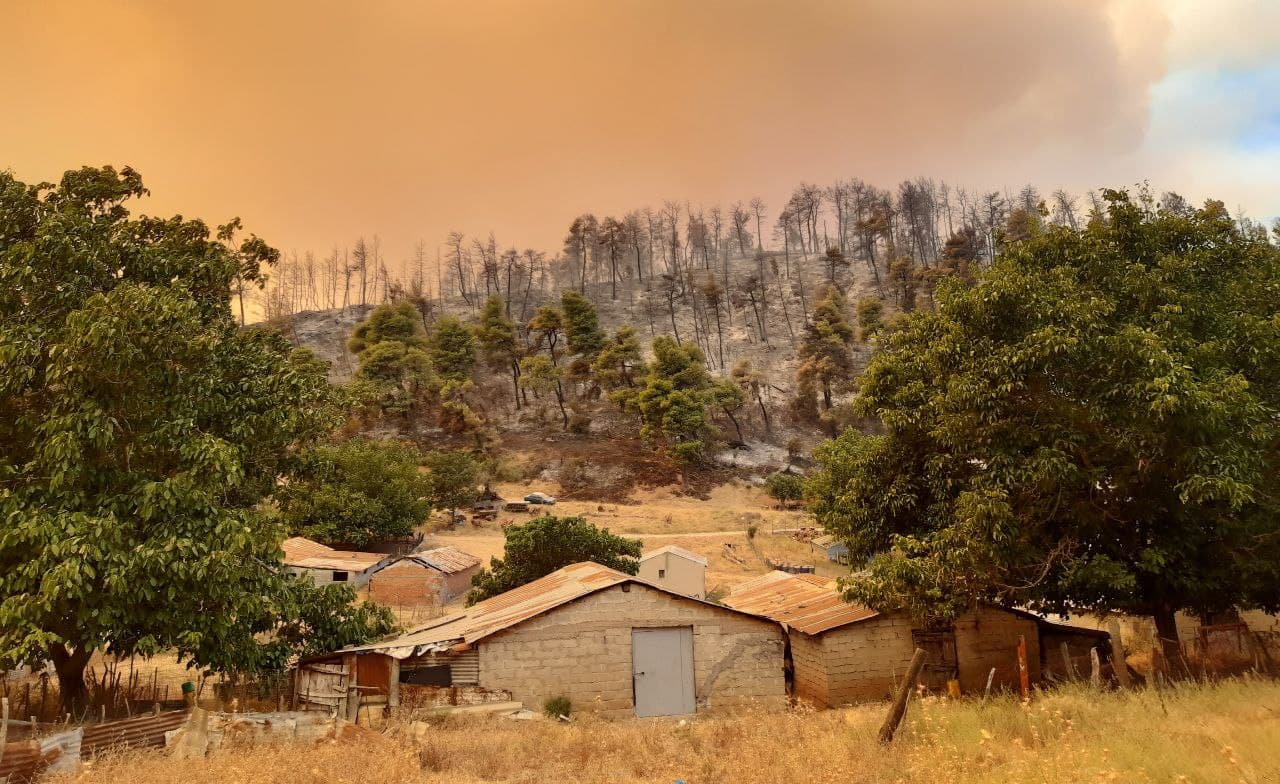 Потушить лесные пожары в Греции пытаются 22 страны