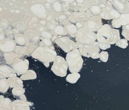 В Одессе после дождей море покрылось белыми пятнами - видео