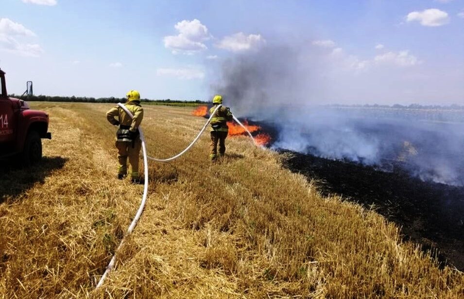 В Україні оголошено найвищий рівень пожежної небезпеки - ДСНС
