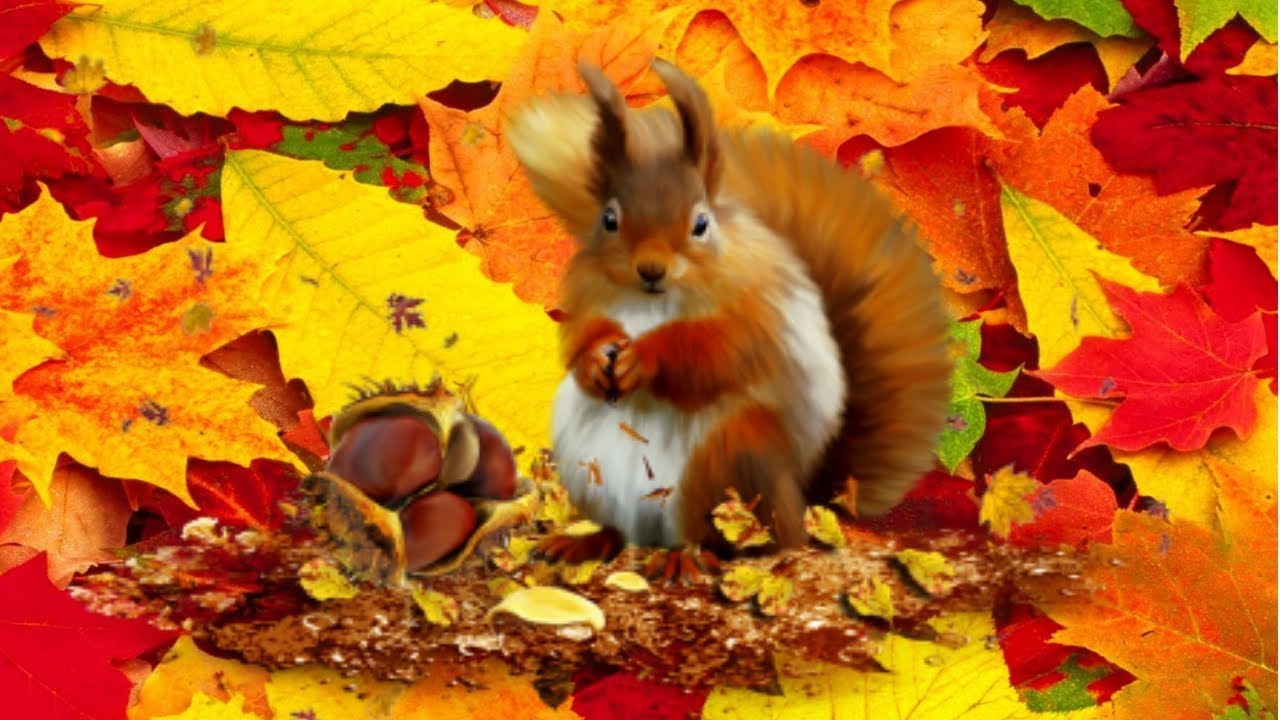 В Украину идет потепление