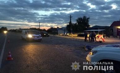 Выбежали на дорогу: водитель на Херсонщине насмерть сбил мать с дочкой