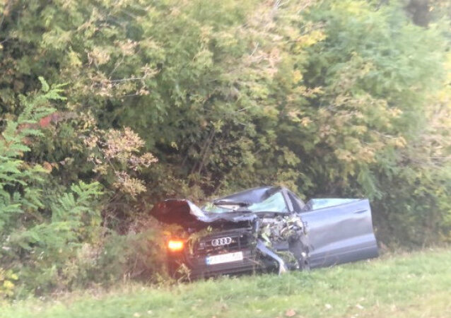 В Винницкой области мужчина сбил насмерть лося