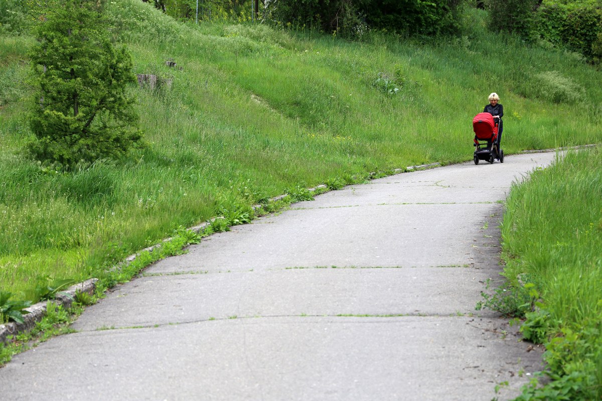 Бил битой по голове: в парке в Киеве мужчина напал на женщину с коляской