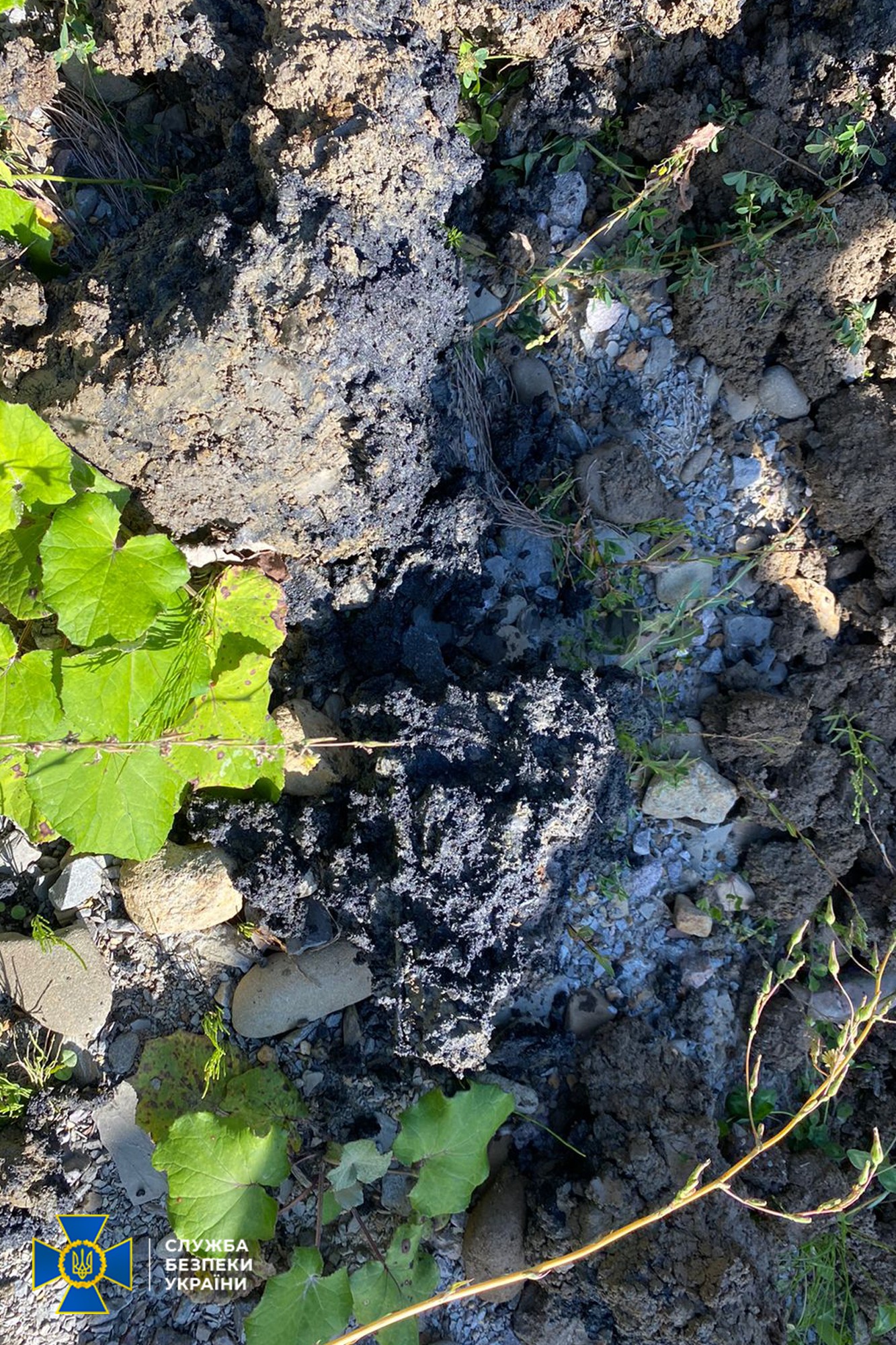 Екологічне лихо на Закарпатті від труби Медведчука