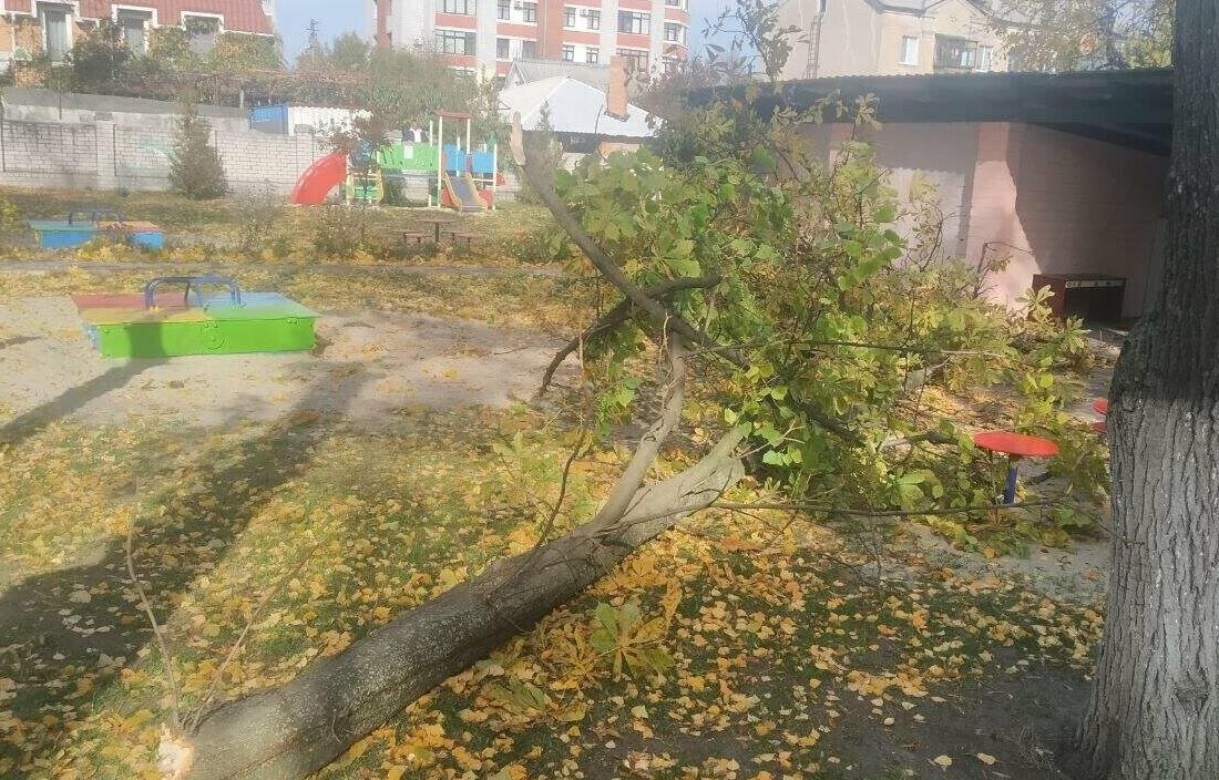 Впало дерево у дитсадку: У Кременчуці померла 4-річна дівчинка
