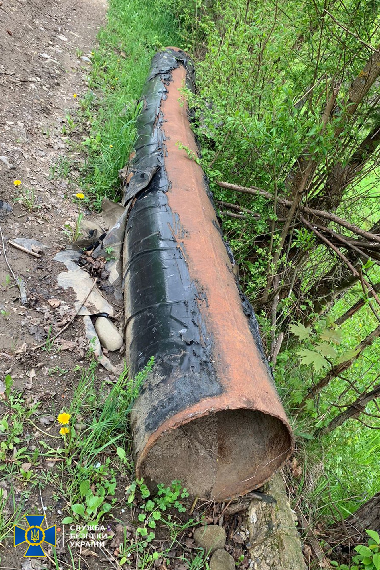 Екологічне лихо на Закарпатті від труби Медведчука